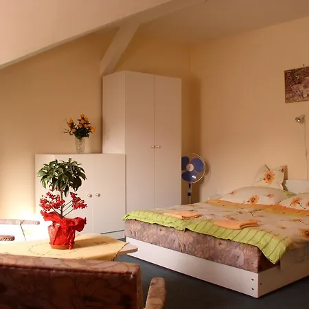 Apartment Heviz 2 *